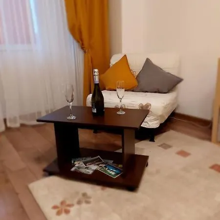 Apartment Garsoniera Confortabila Aproape De Arena Nationala