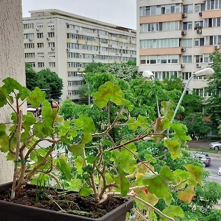 Garsoniera Confortabila Aproape De Arena Nationala *