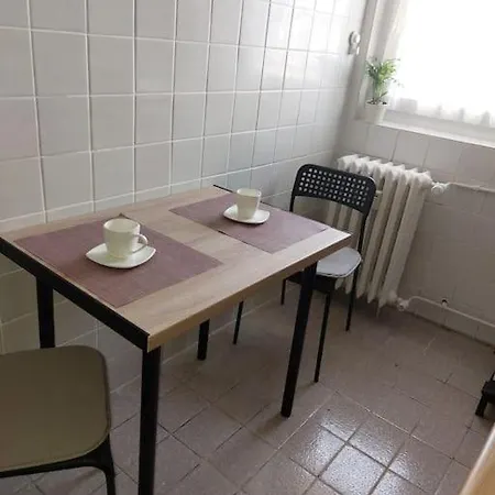 Garsoniera Confortabila Aproape De Arena Nationala Apartment *