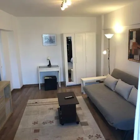 Apartment Garsoniera Confortabila Aproape De Arena Nationala Bucharest