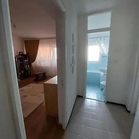 Garsoniera Confortabila Aproape De Arena Nationala Apartment Bucharest