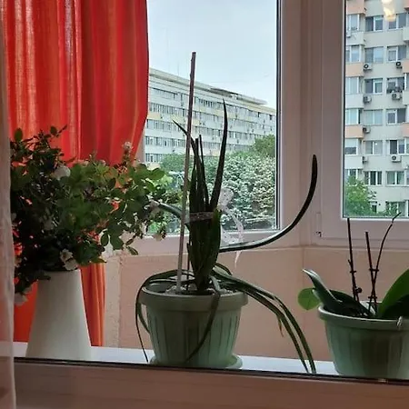 Garsoniera Confortabila Aproape De Arena Nationala Apartment Bucharest